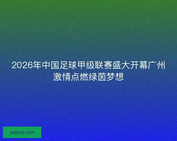 2026年中国足球甲级联赛盛大开幕广州激情点燃绿茵梦想