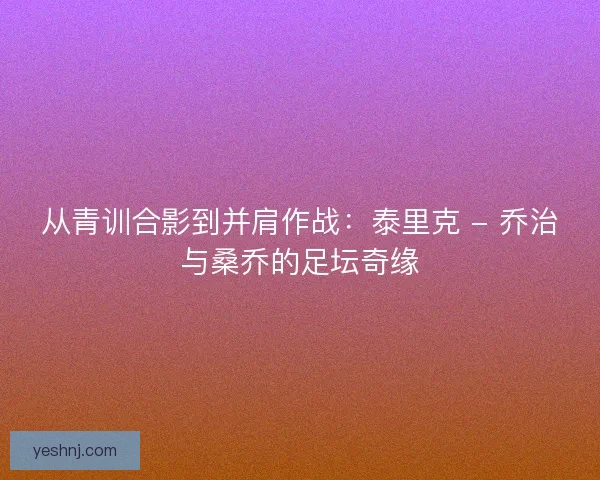 从青训合影到并肩作战：泰里克 - 乔治与桑乔的足坛奇缘